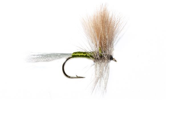 Fly Shop Top Ten, Olive and Dun CDC Mayfly