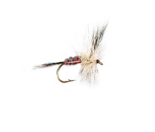 Fish Fishing Flies, Red Ribbed Badger Mayfly