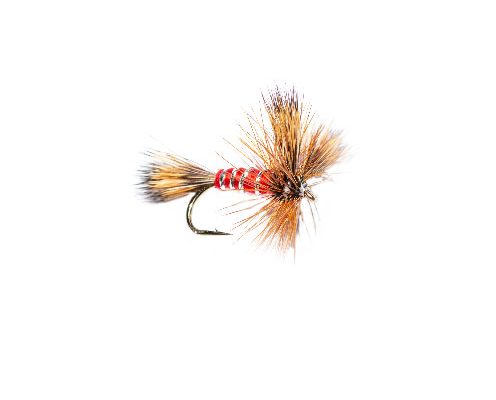 Red Wulff Dry FlyFly Shop Top Ten