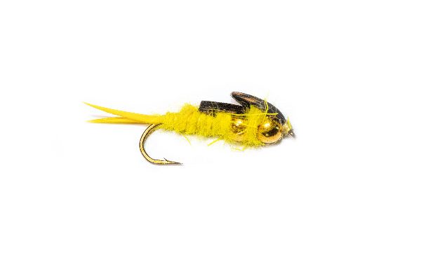 Stonefly Twin Gold Nugget