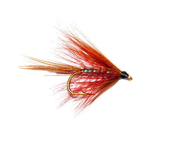 Emerger Fishing Flies Mixed 10/12/14 For Fly Fishing 8 Pack Claret Emerger 