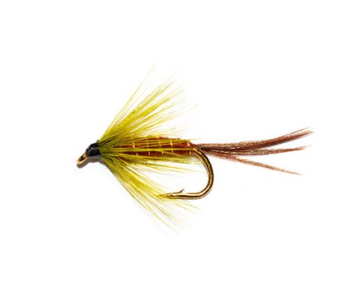 Connemara Olive - Image 4