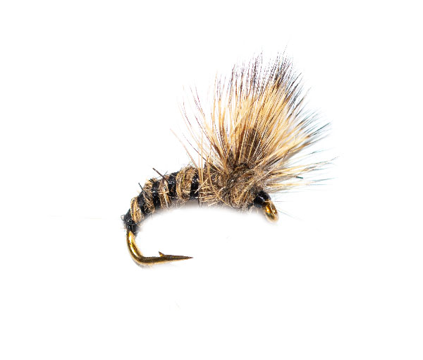 Deer Hair Hares Ear Emerger trout Fly Shop Fish Fishing Flies