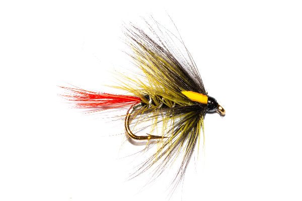 Fly Fishing Fly