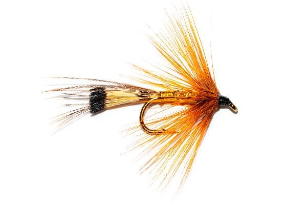 Golden Connemara Wet Fly