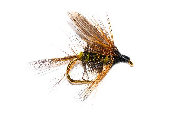 Fishing Flies Hatching Greenwells Olive