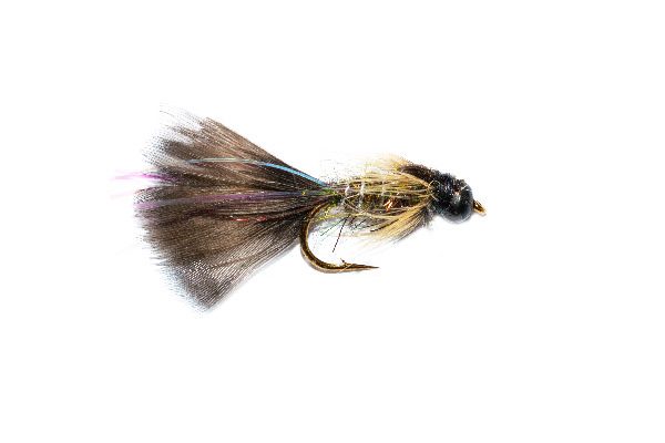 Fish Fishing Flies Mayfly Taddy