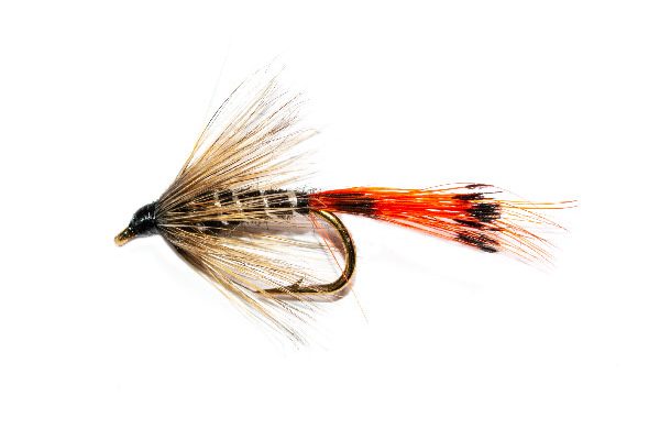 Wet Fishing Fly Shop