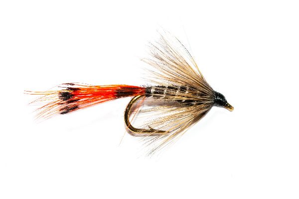 New Yorkie Wet Fly