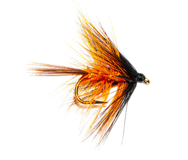 12 Pack Mixed 10/12/14 March Brown Wet Trout Flies For Fly Fishing 