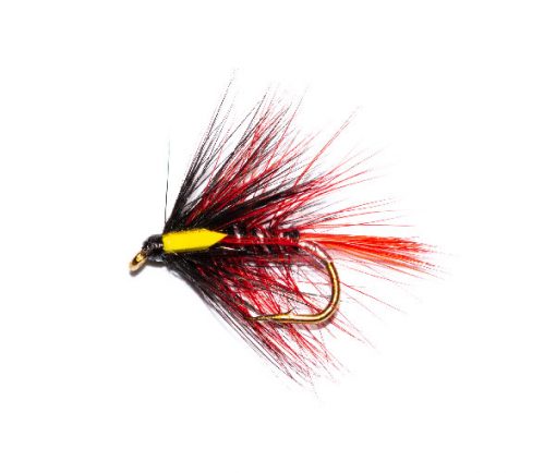 Pretender Red - Image 2