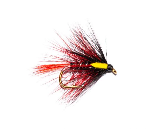Fish Fishing Flies