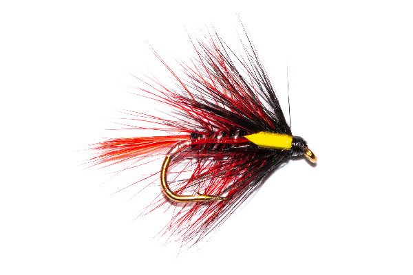 Fish Fishing Flies