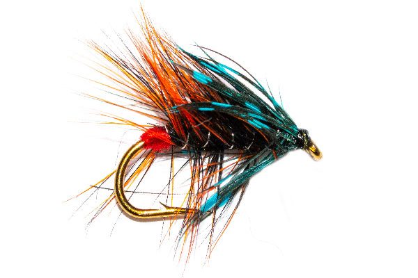 Blootch Wet Fishing Fly