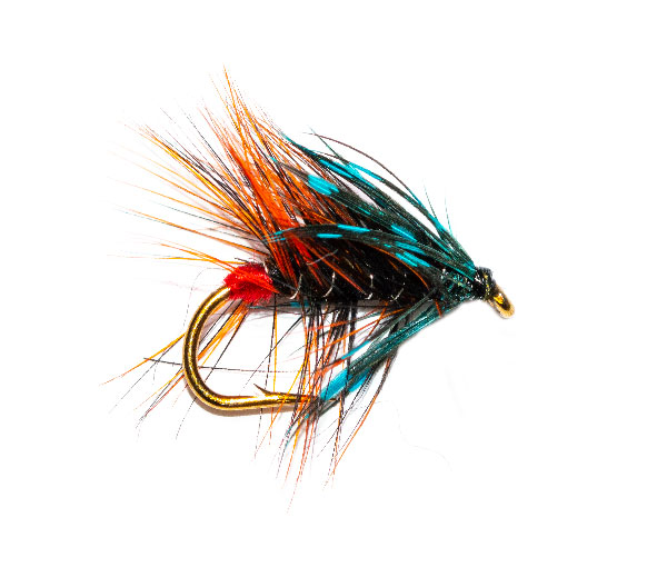 Blootch traditional wet fly pattern from guys at fish fishing