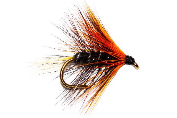 Wet Fishing Fly