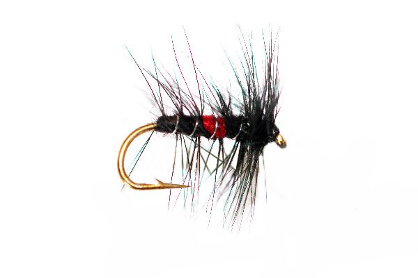 EXAURAFELIS 64pcs Fly Fishing Set - Dry/Wet Flies For Trout, Bass, Salmon