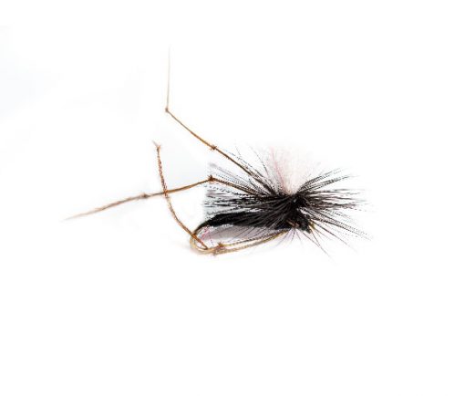 Trout Fishing Fly, Black Daddy Long Legs Parachute