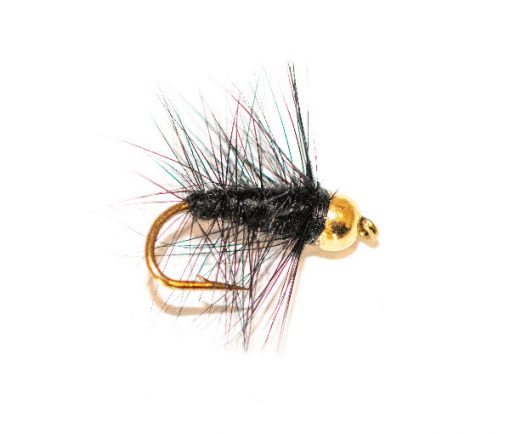 Black Palmer Wet Fly Goldhead