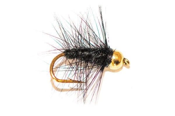 Black Palmer Wet Fly Goldhead