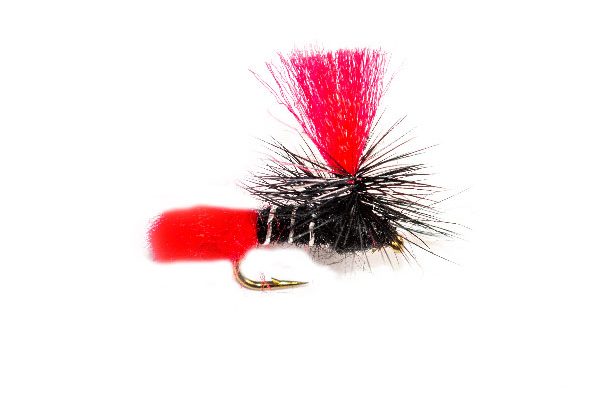 Black Zulu Red Hot Spot Parachute