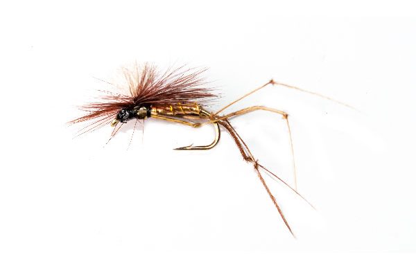 Claret Daddy Long Legs Parachute