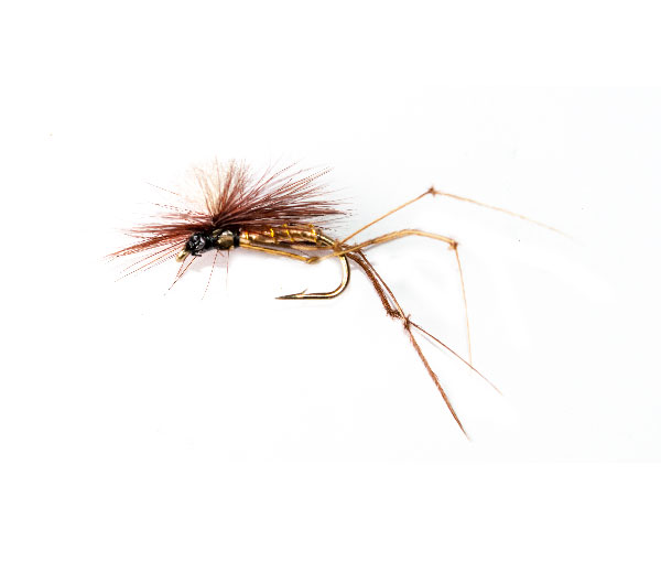 Claret Daddy Long Legs Parachute