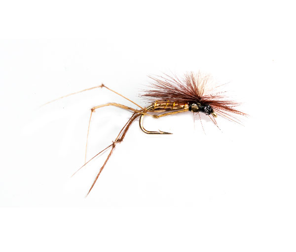 Claret Daddy Long Legs Parachute - Image 4