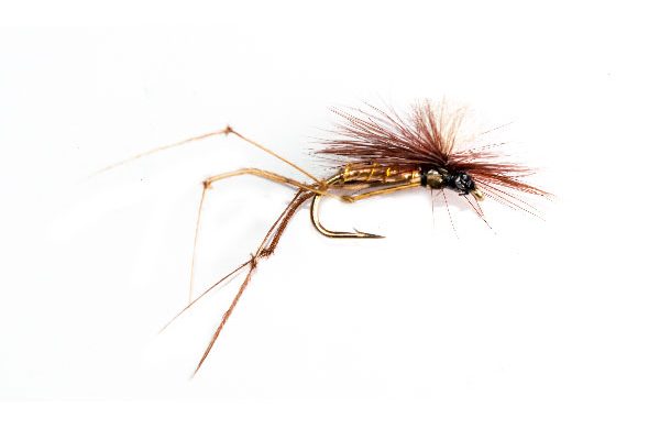 Claret Daddy Long Legs Parachute