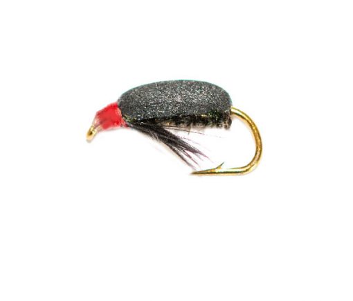 Coch Y Bonddu Beetle Peacock - Image 2