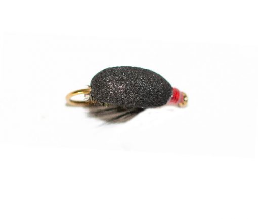 Coch Y Bonddu Beetle Peacock - Image 4
