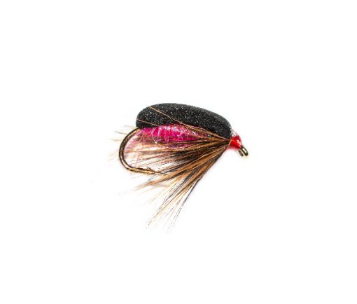 Coch Y Bonddu Beetle Pink UV Sparkle