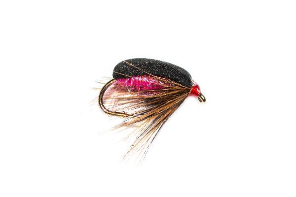 Coch Y Bonddu Beetle Pink UV Sparkle