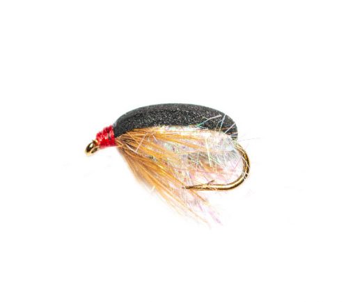 Coch Y Bonddu Beetle UV Pearl - Image 2
