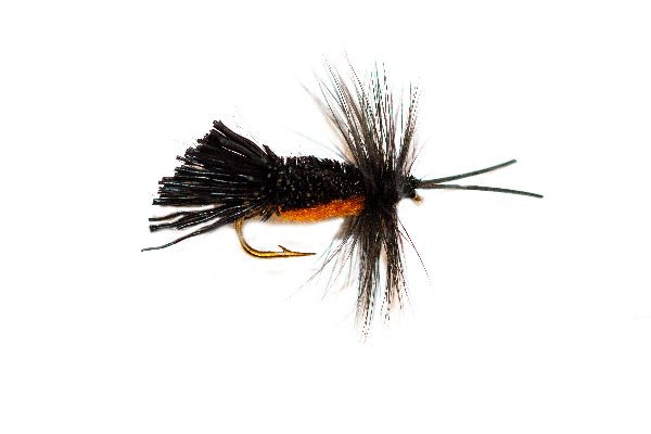 Horned Sedge Dry Fishing Fly