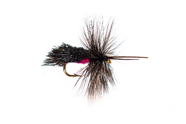 Fly Fishing Shop Online