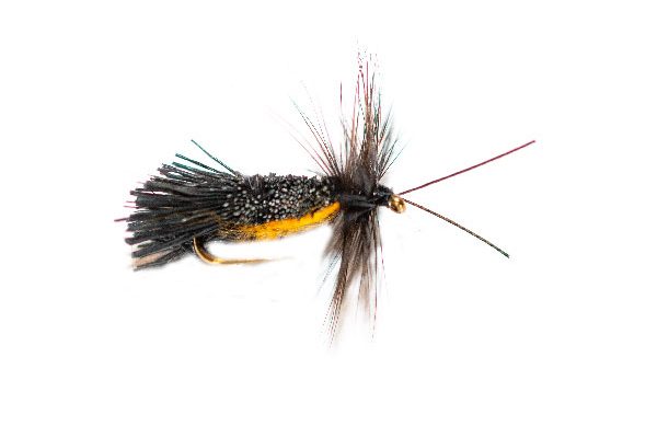 Dry Sedge Fishing Flies From Fish Fishing Flies