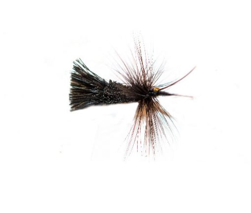 Horned Black Goddard Orange Belly Caddis Sedge - Image 4