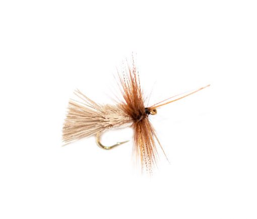 Goddard Caddis Sedge Type Fishing Flies