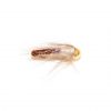 Pheasant-Pearly-Emerger-Fishing-Fly-t