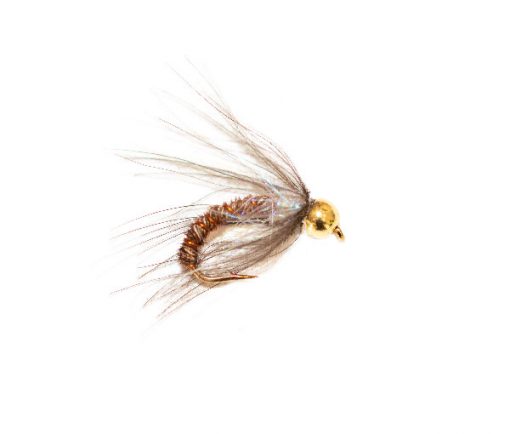 Pheasant UV Pearly Emerger