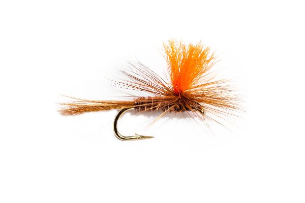 Trout Fishing Flies Online