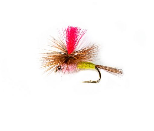 Tups Indispensable Hot Spot Parachute - Image 2