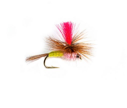 Fly Fishing Shop Tups Indispensable Hot Spot Parachute