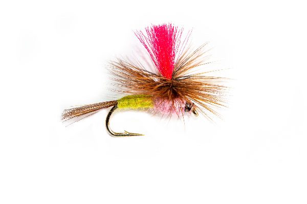 Fly Fishing Shop Tups Indispensable Hot Spot Parachute