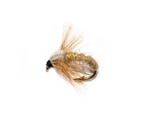 Light Tan Sedge Nymph - Image 2