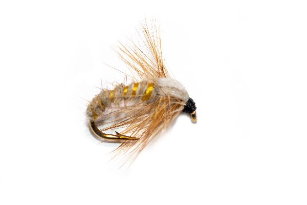 Light Tan Sedge Nymph