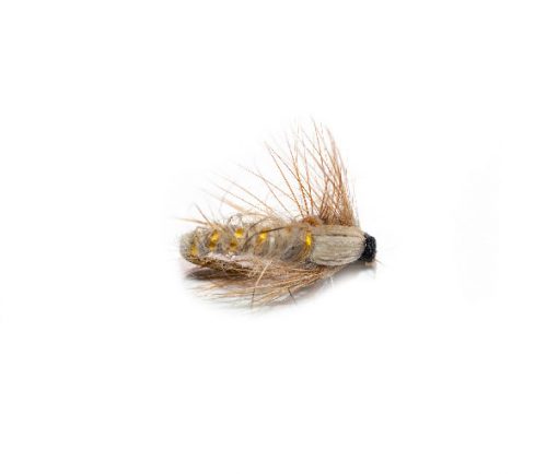 Light Tan Sedge Nymph - Image 4