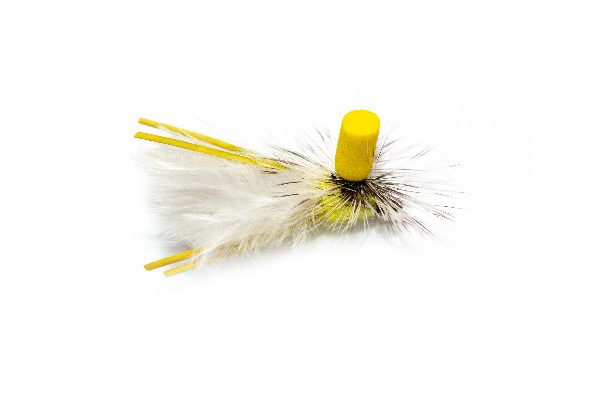 No Wonder Fly White Wing Yellow