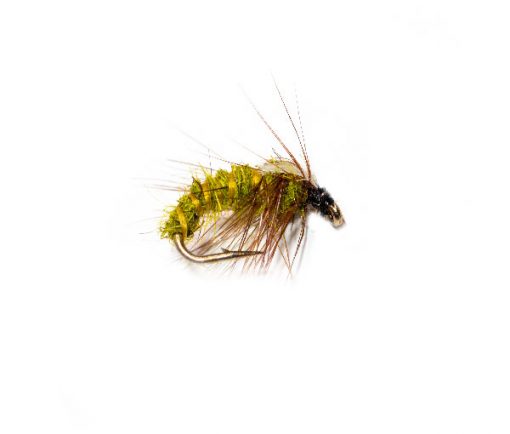 Olive Sedge Nymph